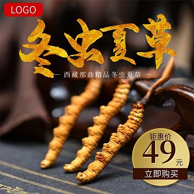 冬虫夏草补品食品主图直通车图psd模板