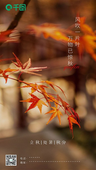 立秋处暑秋分24节气UI海报