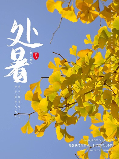 二十四节气处暑银杏叶蓝天简约海报