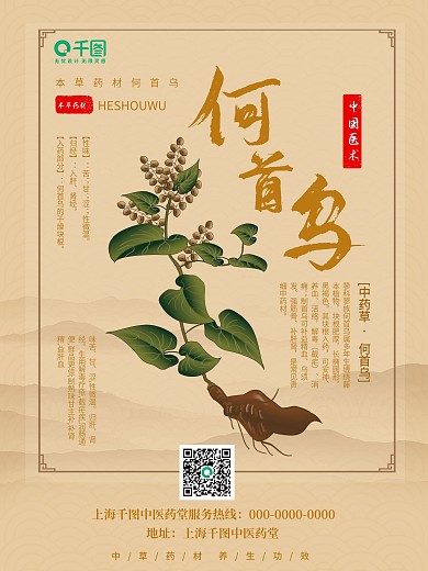 中国风草本植物何首乌海报