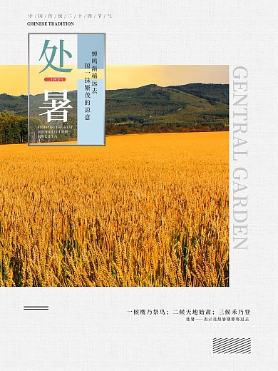 二十四节气处暑黄金稻田简约海报