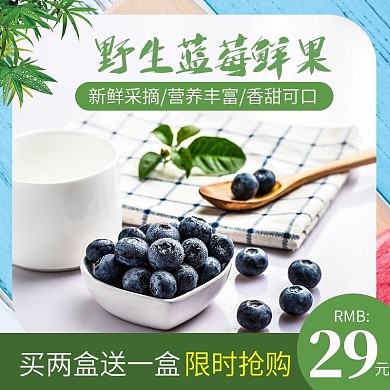电商主图直通车清新简约水果野生蓝莓鲜果