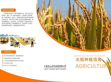农业水稻种植技术宣传三折页模板