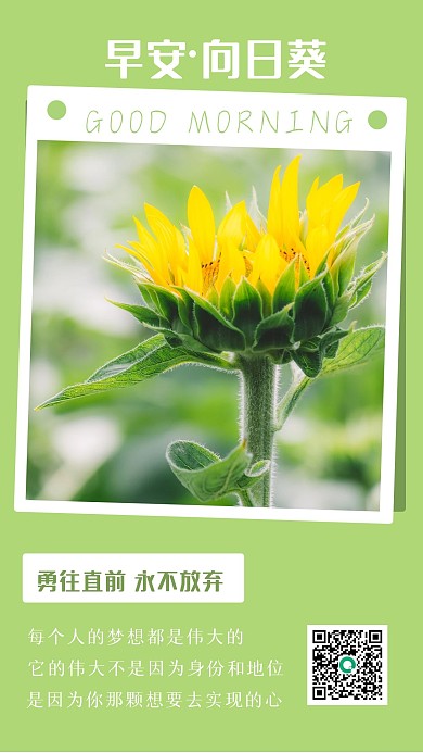 小清新情感语录简约大方日签手机海报