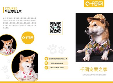 橙色小清新宠物店三折页模板