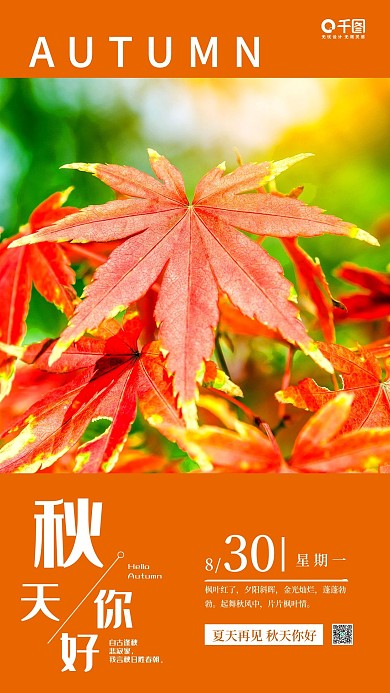 秋天你好简约小清新日签手机海报