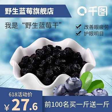 蓝莓干钻展淘宝主图