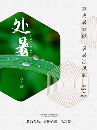 二十四节气处暑节气清晨露水海报