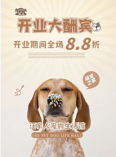 宠物店爱宠店促销单页