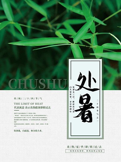 二十四节气处暑竹叶简约海报