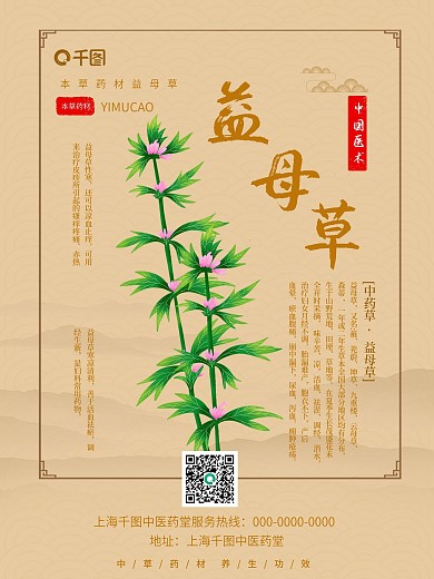 中国风草本植物益母草海报