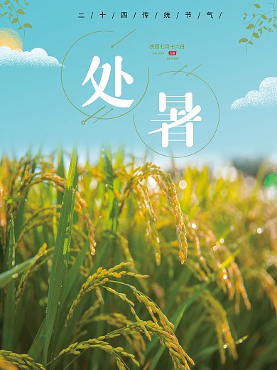 创意简约处暑摄影图海报