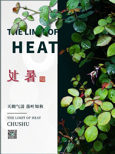 简约传统二十四节气处暑节气海报