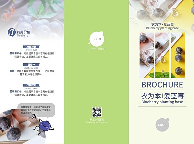 农产品水果蓝莓宣传折页