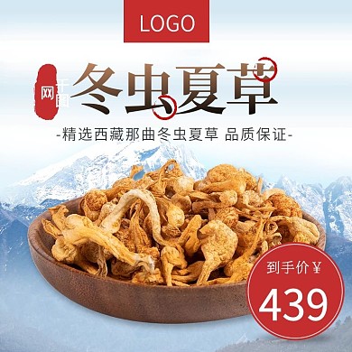 冬虫夏草补品食品主图直通车图