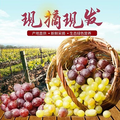 电商夏季美食生鲜葡萄直通车主图模板