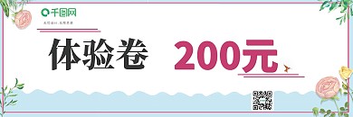 小清新简约优惠卷代金卷体验卡会员卡