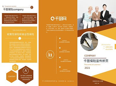 扁平风保险介绍宣传三折页