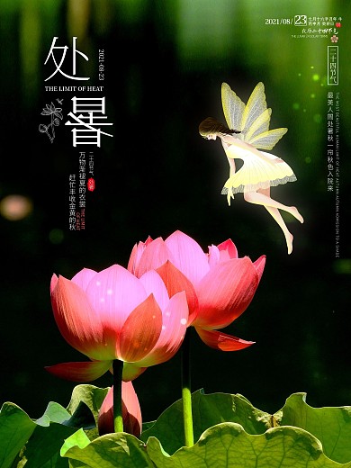 二十四节气处暑节气海报
