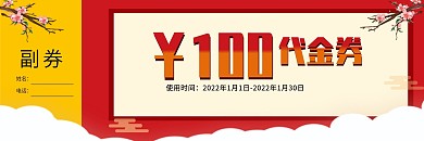 春节正副券代金券