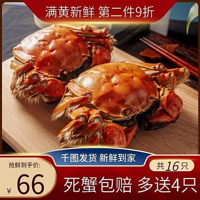 秋季美食大闸蟹主图