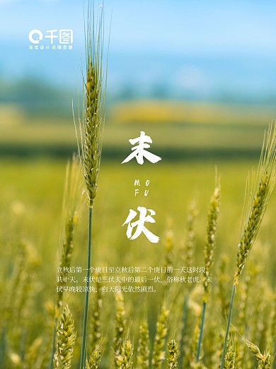 末伏出伏节气二十四节气简约海报