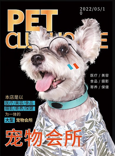可爱宠物单页杂志