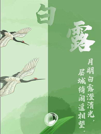 二十四节气白露清新海报