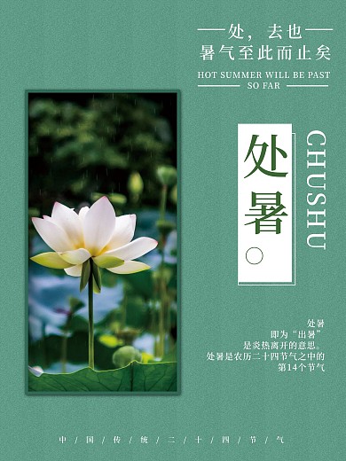 二十四节气处暑白色荷花简约海报