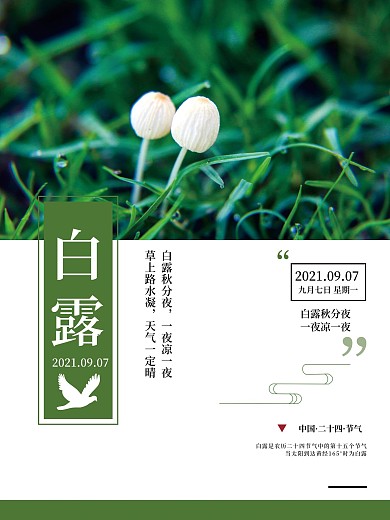 二十四节气白露节气小蘑菇海报