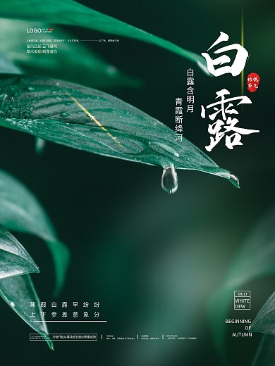 简约留白意境白露节气海报