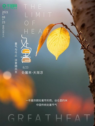 处暑节气简约摄影海报