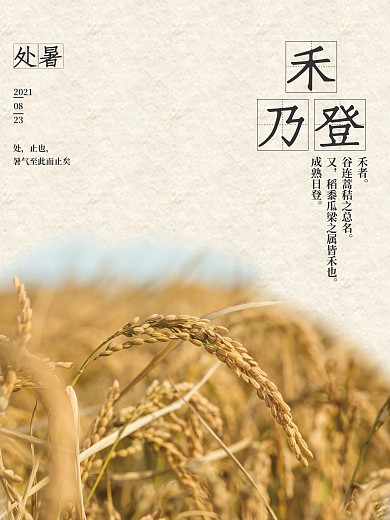 二十四节气处暑稻穗简约海报