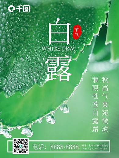 简约创意白露摄影图海报