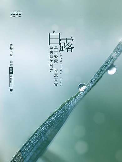 白露露水寒露雨水谷雨简约节气海报