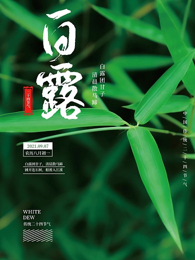 二十四节气白露竹叶背景简约海报