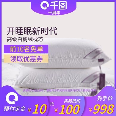 双十一高级白鹅绒枕芯主图5