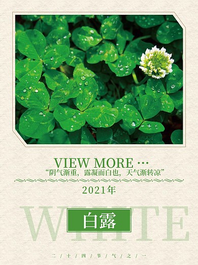 二十四节气白露节气露水海报