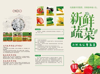 绿色新鲜蔬菜三折页设计