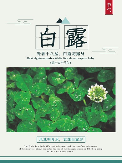 二十四节气白露节气露水简约海报