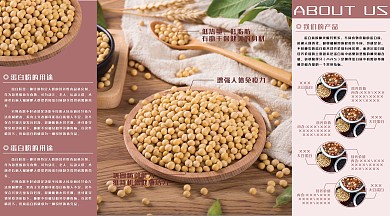 营养蛋白粉四折页