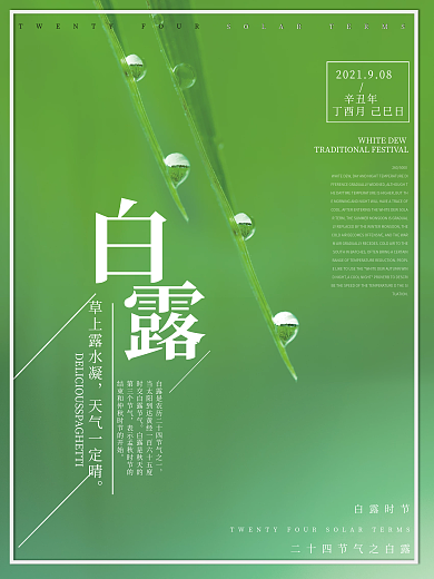 绿色背景叶子水滴白露节气宣传海报