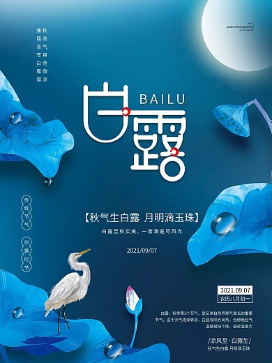 简约留白意境白露节气二十四节气传统海报