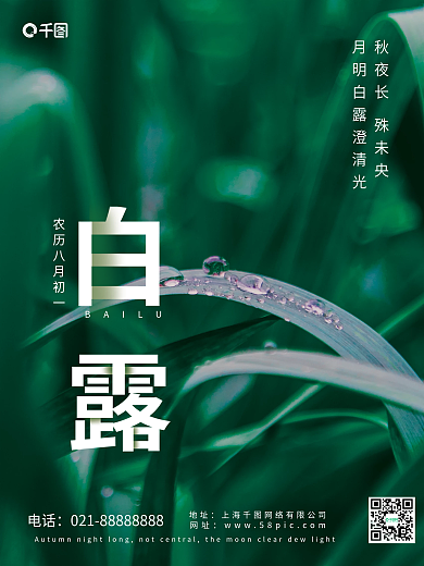 简约白露节气摄影图海报