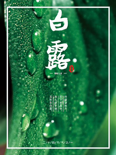 白露二十四节气之一海报