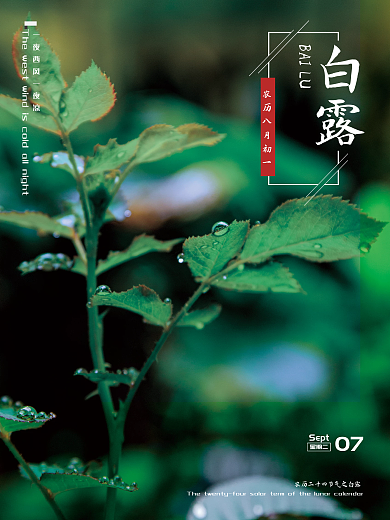 农历二十四节气之白露