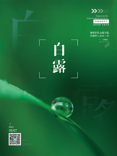 简约二十四节气白露露珠绿色背景海报