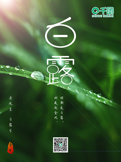 小清新简约白露节气摄影图海报绿色植物