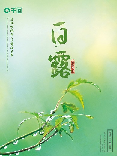 简约白露节气摄影图宣传海报