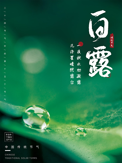 简约白露节气摄影图宣传海报
